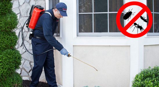 Payamlı Gümüşkurt İlaçlama böcek ilaçlama ve haşere kontrolü — ilaclama-tr.com